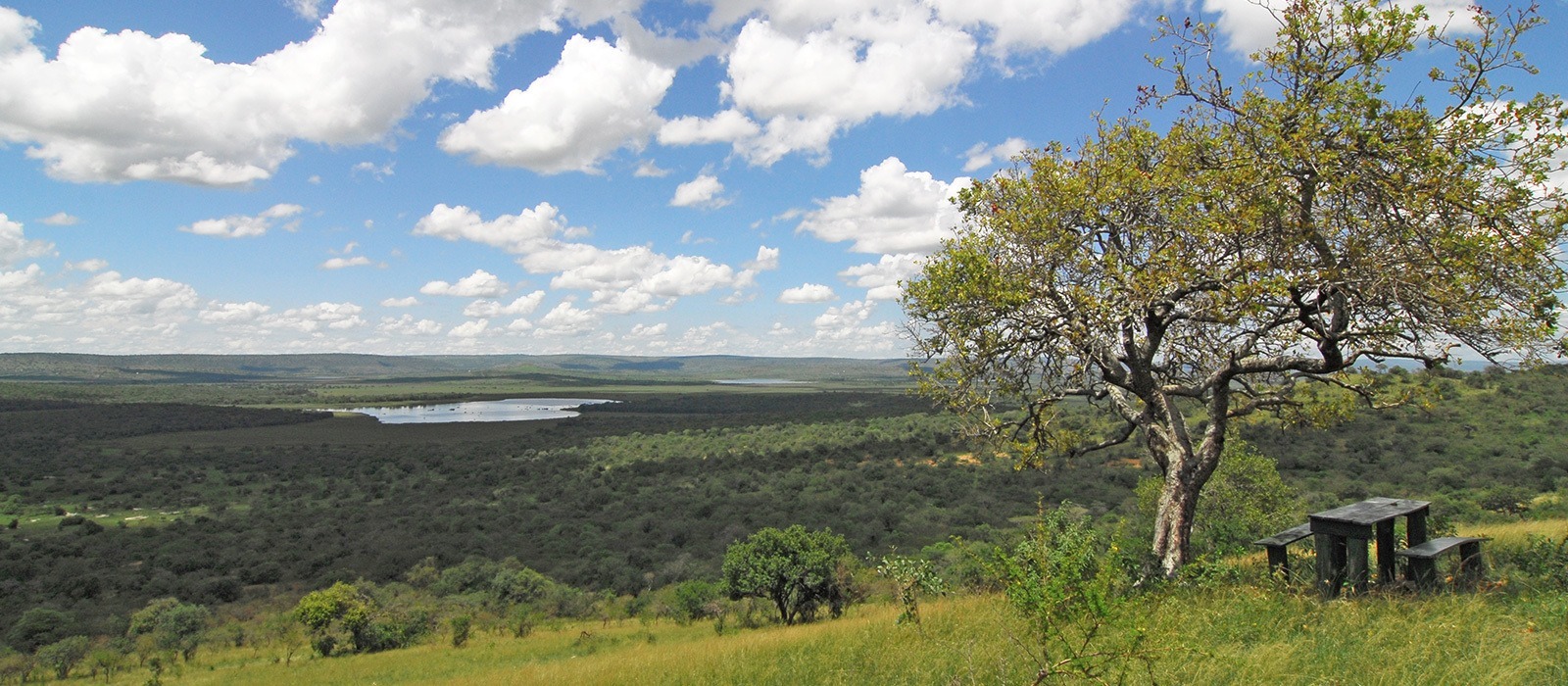 Lake Mburo Uganda