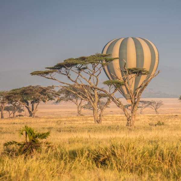 Masai Mara Balloon Safaris