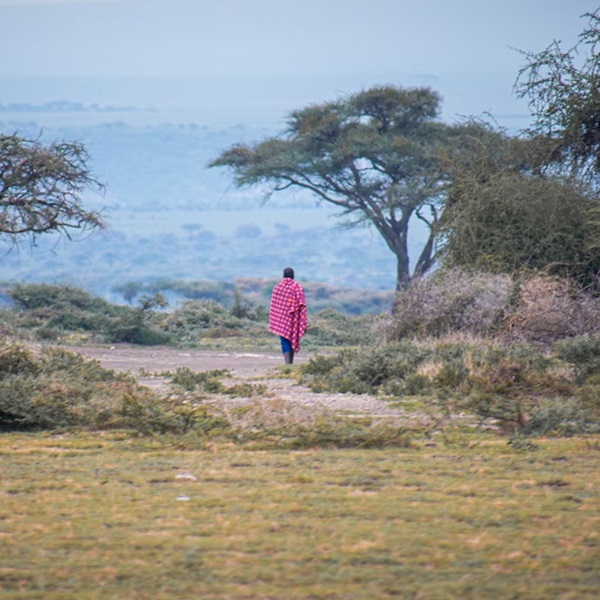 Masai Mara walking safaris